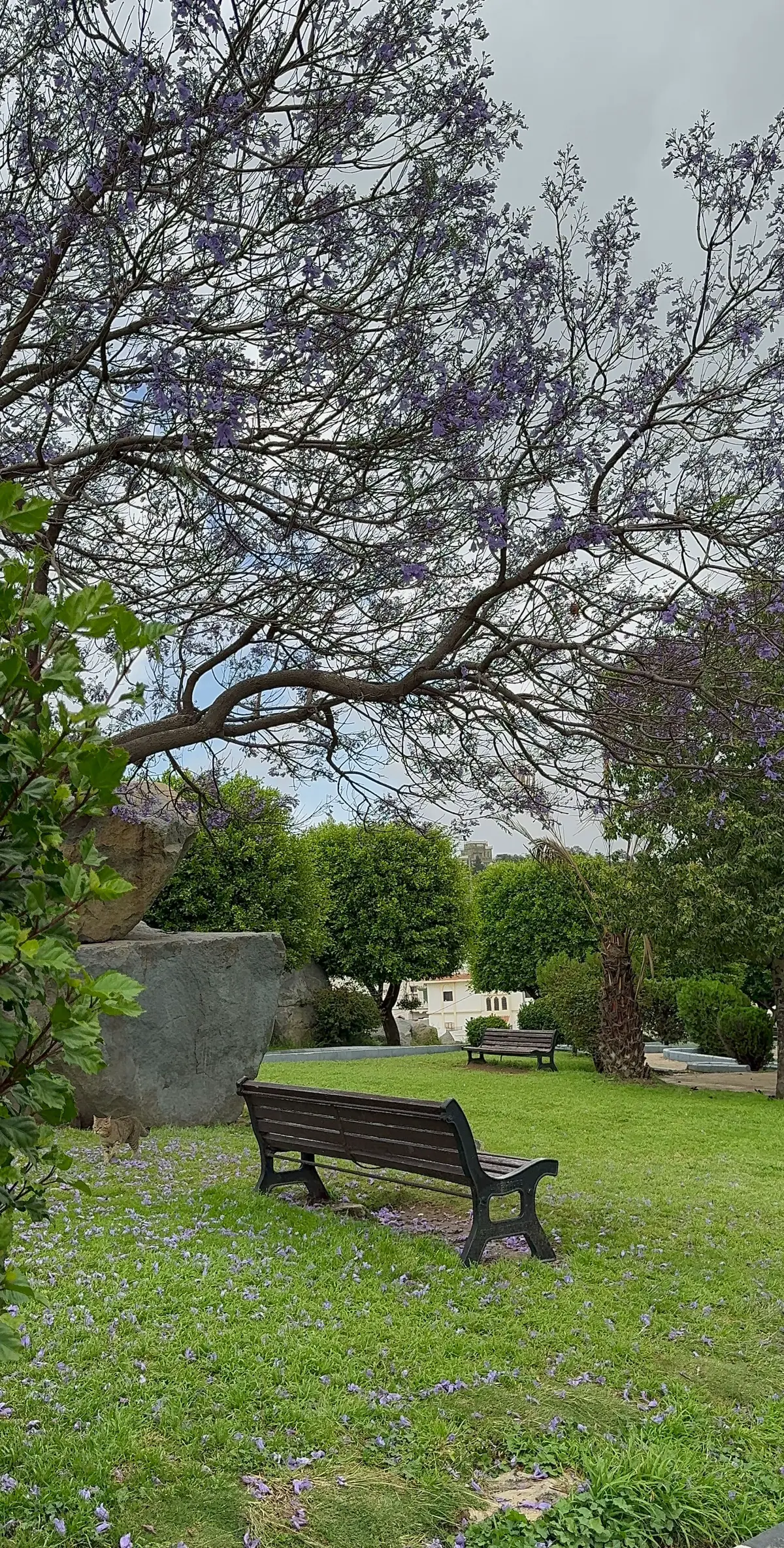 #ابها_الان #اكسبلورexplore #اكسبلور 