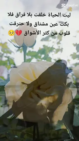 #CapCut #اللهم_اللقاء_العاجل💔🥺 