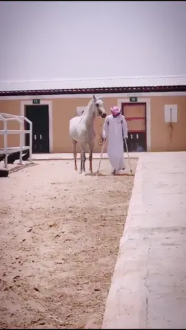 مقدام عام ٢٠١٨ . #اكسبلورexplore #اكسبلو #هاشتاقات_تيك_توك_العرب #علي_ال_سليم #اكسبلوررررر #خيل 