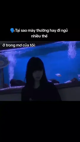 bởi vì trong mơ tôi gặp đc....:( (nguồn video@_.amnhacchualanh_ )#suy #sadstory #sad #buon #nhocau 