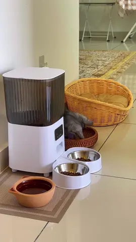 Senang betul lepas dah ada automatic pet feeder ni. Lepasni tak perlu risau dah tinggal Bubu kat rumah bila nak balik kampung. 