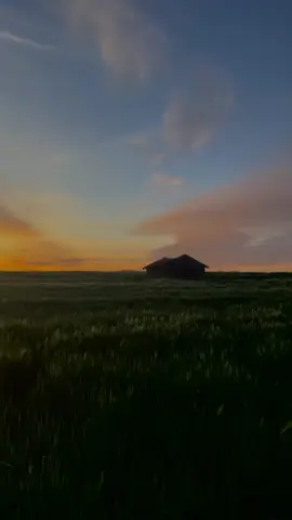 #fort #personne #battante #flyp #pourtoiii #univers #🕊️🕊️ ##♥️♥️♥️