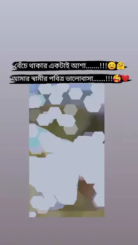 বেঁচে থাকার একটাই আশা আমার স্বামীর পবিত্র ভালোবাসা❤️#foryou #foryoupage #fypp #fypシ゚viral🖤video #bdtiktokofficial #unfrezzmyaccount #statusvideo @TikTok Bangladesh @For You @For You House ⍟ 