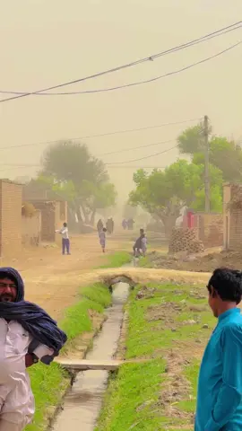 #episode 537#گاؤں_کے_خوبصوت_مناظر_🇵🇰 #پنداں_والے🔥 #foru #panjab #kisan #پنجاب #viral #pindawale #fyp 