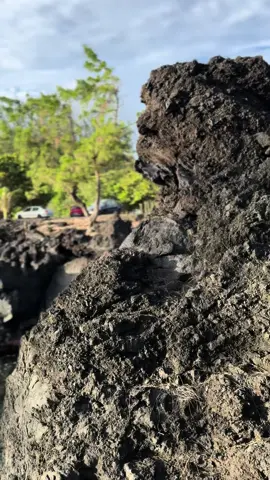 #974🇷🇪🇷🇪 #reunionisland #langevin 