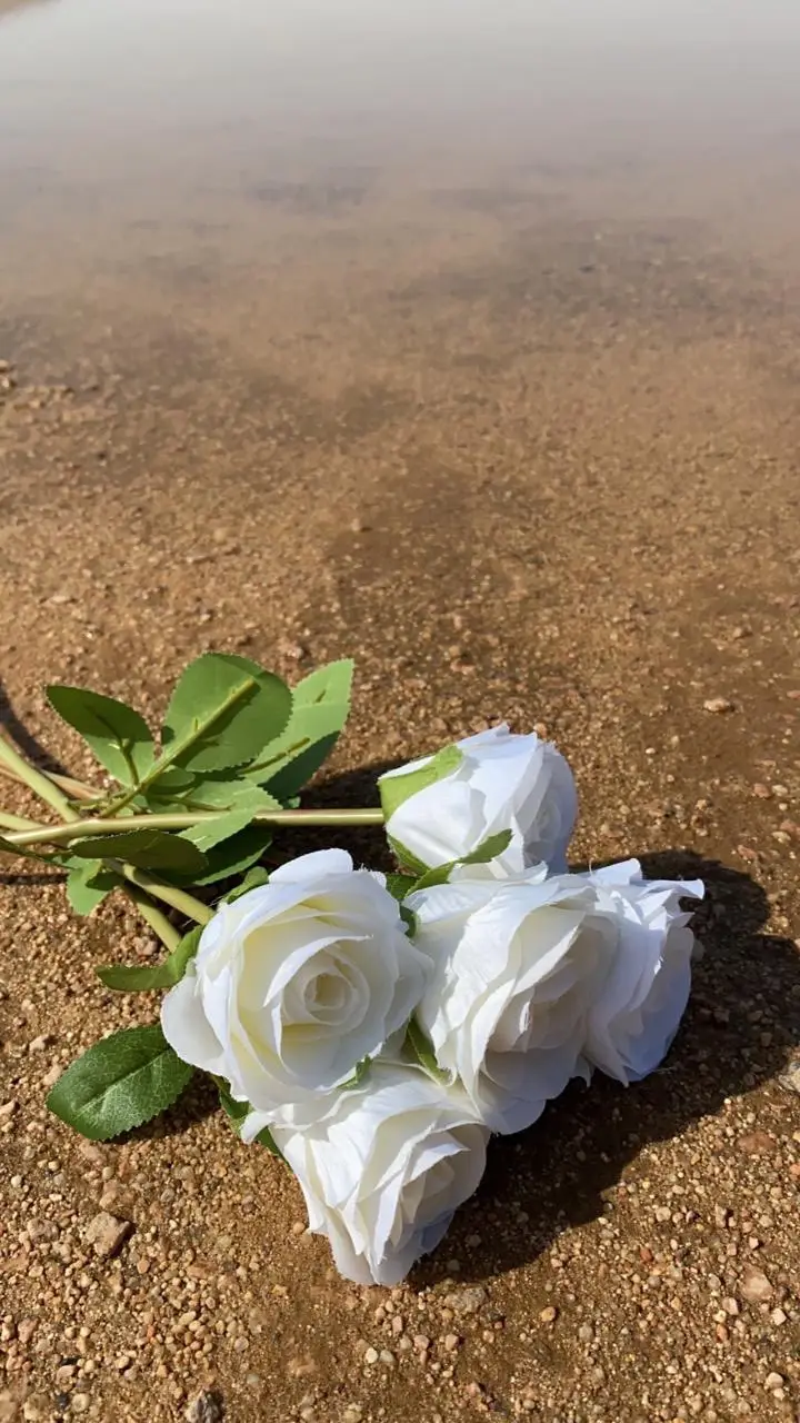 انتي اقرب قلب ❤️#تصويري📸 #تصويري_احترافي #الامطار_والاجواء_الجميله #مالي_خلق_احط_هاشتاقات🧢 #الشعب_الصيني_ماله_حل😂😂 :) #اكسبلور2020#شيلات#حب#قصايد_حزن#شعر#شيلات_ذوق#حزن#استوريات_بدون_حقوق#غريب_ال_مخلص#فلاح_المسردي#بوح_ابيات_شعر#اغاني#عبدالكريم_الحربي#اغاني_حب#طرب#استوري_جديد#استورياتي#شيلات_قصائد#__أناشيد_تصميم_بوح_مشاعر_غزل_قصيد_شعار_أبيات_تصميم__شيلات#صباحيات#فهد_بن_فصلا#تصميم#ابدعات#شيله#مهنا_العتيبي#بدون_شرح#مبارك_المطرباني_قصيد_شعر 