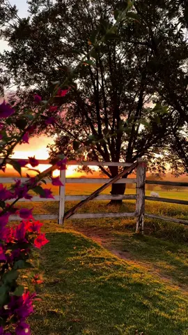 #nascerdosol #fazenda #sitio #lugarlindo #pazreina