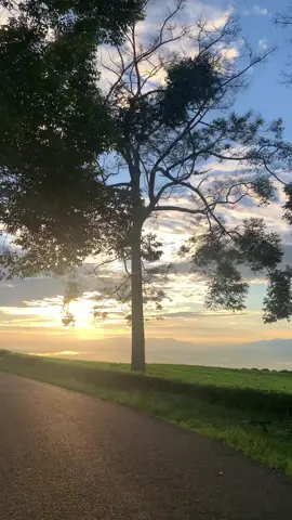 Keindahan sunrice tadi pagi Gunung Dempo emang tempat paling nyaman untuk sunrice pagi-pagi Ad yang galak sunrise pagi bareng sama mimin. #dempo #pagaralambesemah #viral #wisatadempo #gunungdempo #fyp 