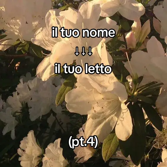 ne avevo uno in classe fissato con Minecraft #perte #perteee #andiamoneiperte #letto #virale #nome #❤️ #fpyツ #aesthetic #dario #Minecraft 