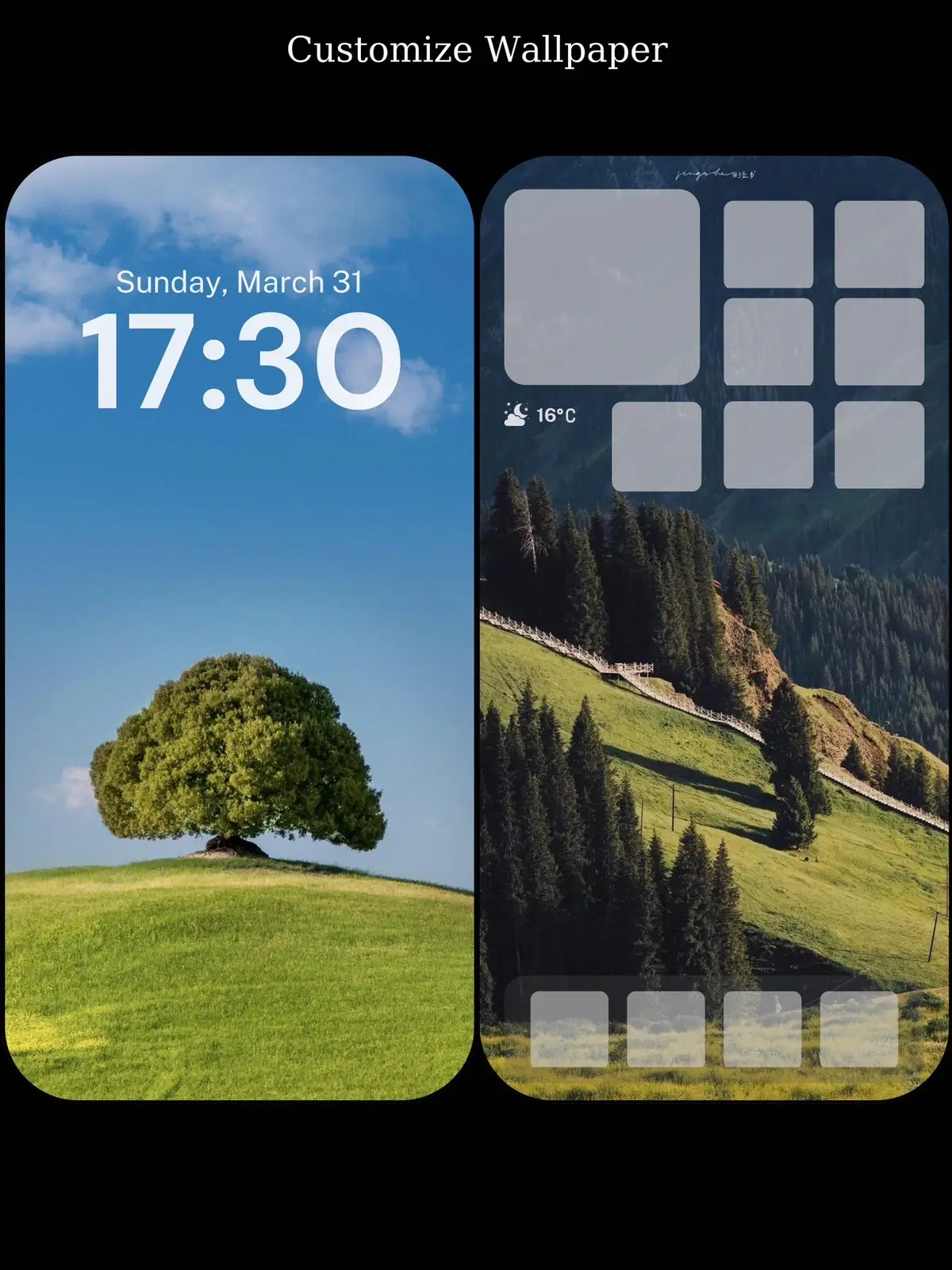 #wallpaper #hinhnen #iphone #dienthoai #xuhuong #xuhuong2024 #phukien #oplungdienthoai #🌳🪵