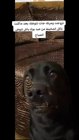 #Meme #MemeCut #CapCut #الشعب_الصيني_ماله_حل😂😂 #😂😂😂😂😂 #🥰🥰🥰🥰❤️❤️❤️ 