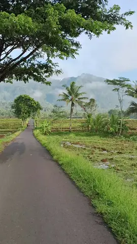 Purbalingga bagian Dagan.. di kelilingi pegunungan🌻 Sing gawe kangen desa pemandangane masyaAllah, sejuk asrii😍  @jelajahpurbalingga @purbalinggaku  #purbalinggaperwira #purbalinggapride #dolanpurbalingga #bobotsaripurbalingga #jelajahpurbalingga #desadagan #fypage 