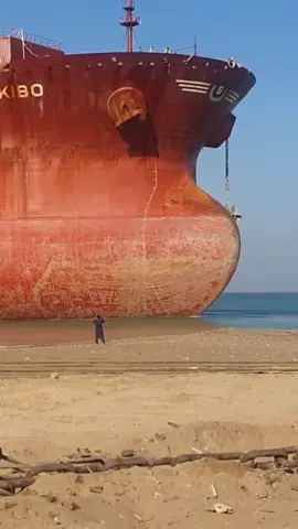 Mv Kibo beaching for disposal 🔨 #ship #vessel #breaking #disposal #beaching #theend 
