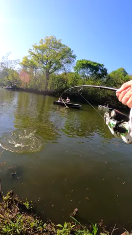 Hookset/Screaming Drag Compilation!!! #thefishermeng #fishing #southshore #bunker #shark #sharkfishing #beachlife #sunrise #snook #snookfishing #snookcatching #largemouthbass #carp #carpfishing #nyfishing #nyfishingcharters #lbsf #landbasedsharkfishing #blacktip #blacktipshark #hammerhead #floridafishing #bigshark #sharkattack #beachsharkfishing #floridasharkfishing #floridasharks #bullshark #hammerheadshark #westpalmbeach 