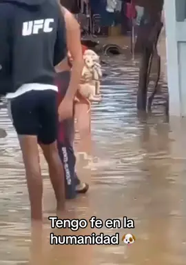 ¡Hay esperanza! En el estado #Zulia, en Puertos de Altagracia, una pequeña jovencita salvó a varios cachorros de las inundaciones.  #venezuela 