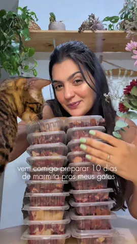 #gato #gatos #gatostiktok #viral #foryou #bengal #gatobengal #gatodebengala 