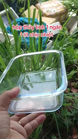 hộp thủy tinh đựng đồ ăn chịu nhiệt ạ#hopcom #hopthuytinh #hopthuytinhchiunhiet #hopthuytinh1ngan #hop #hopdungthucpham #xuhuongtiktok #shoptuyetnguyen 