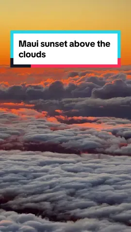 This might just be the most incredible sunset I've ever witnessed! At 10,023 feet (3,055 meters) above sea level, you're literally on top of the world, watching the sun dip below a sea of clouds. 📍Haleakala National Park, Maui Would you add this experience in Maui to your bucket list? #maui #mauihawaii #haleakalanationalpark #haleakalasummit #sunsetlover #sunsetview #visithawaii 