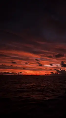 Yeh Jism Hai Toh Kya 🥹🥹 #tiktokmaldives🇲🇻 #calm #foryoupage #fypシ #trending #trendingtiktok #lyrics #fypviral #bollywoodsong #capcut #hindisong #100kviews #70s #80s #90s #2000s #1millionviews #goviral #india #YehJismHaiTohKya 