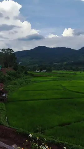 ⛰️☁🌾🌿คิดถึงแล้วนะ..ฤดูฝน🌧#โอบกอดเขา #วิวธรรมชาติสวยๆ #CapCut 