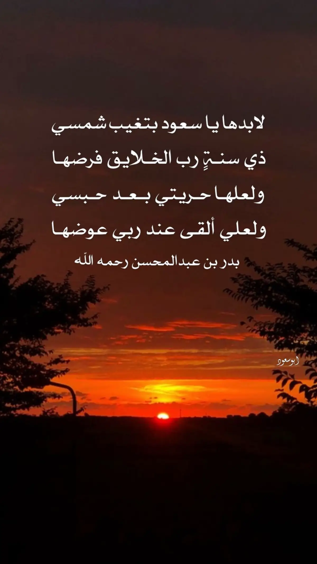 #القرآن_الكريم #بدر_بن_عبدالمحسن 