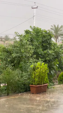 الجو ولاغلطه🌧️🥹#اكسبلور #اكسبلورexplore #مطر #صلاح_الدين #fypシ #الجو #غيم_مطر #حركة_الاكسبلور #حالات_واتس #اكسبلورر #هاشتاق #جديد #كومنت #حب #عشق 