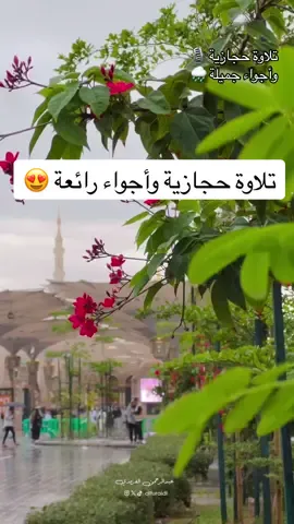 #تلاوة_حجازية  و #أجواء رائعة  في #المدينة_المنورة  #madina  #quran 