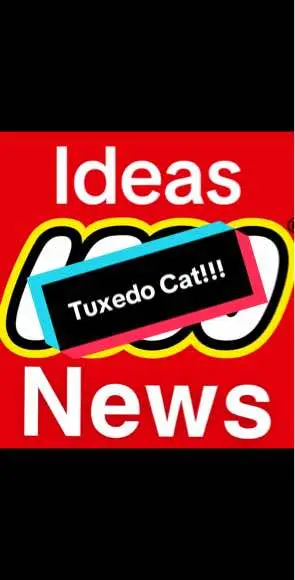 New LEGO Ideas Tuxedo Cat Revealed!!! #fyp #legocreator #legotiktoker #carterbricks04 #lego #legotiktok #legofyp #legoadult #legoaddiction #legoaddict #afol #legofigures #legominifigures #minifig #legostore #legoleaks #legoleaks2024 #legonews #legonews2024 #legoideas #legocat #cat 