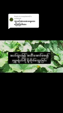Replying to @ooayelwin12ဘူး ​ရွှေဖရုံ ကျောက်ဖရုံ အတွက် နို့တိုက်ကြည့်ပါ အဟာရဖြစ်စေပါတယ်#တောင်သူကြီးတို့အဆင်ပြေစေ  #စိုက်ပျိုးရေးဝါသနာရှင်များ #စိုက်ပျိုးရေးဝါသနာရှင်လေးတွေအတွက်😍😍😍😍 #စိုက်ပျိုးရေး #မြန်မာ့စိုက်ပျိုးရေး #agriculturetiktok #agriculture #အပင်အားဆေးရည် #နို့ 