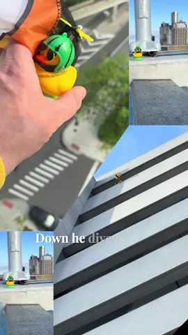 🎥✨ Watch as Agent Ducky, our secret agent duck with a watermelon cap and a shiny gold chain, takes on his latest mission! 🚁 With his trusty propeller, he's launched high above the city. 🌆 Witness the daring descent of Agent Ducky as he parachutes down, navigating through the urban jungle to land smoothly on his feet right in the hustle and bustle of the streets below. 🦆🪂 👀 Don't miss this quacky covert operation! #AgentDucky #ParachuteHero #DuckDrop #SpyMission #RubberDucky #Ducky #Kuefler Parachute Not Included!! Song: Agent Ducky in Operation Quackfall Lyrics:  He's Agent Ducky with the watermelon cap, Gold chain glistening, ready to snap. High above, with a propeller spin, Watching over, the mission begins. Down he dives, from the sky so high, A secret agent duck, flying by. With a parachute drop, so smooth and neat, Agent Ducky lands on his feet.