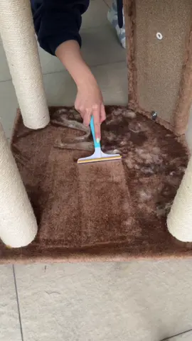 POV: You have 5 cats and they all like to sleep in the same area 🥲 #tiktokshopmothersday #mothersday #giftsformom #viral #fyp #uprootcleanerpro #pethairremoval #pethair #tiktokshop #viralproducts #uprootclean #CleanTok #satisfying 