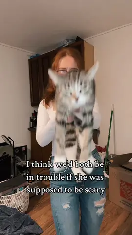 She'd be pointing in ALL the wrong directions 😂 Girl was just curious as to where she was at, I don't think she'd be great at intimidating anyone 👀 I did this with my other cat too, and he was so much harder to hold 🤣 #cats #stickemup #catsoftiktok #funny #intimidating #dontmove #pets #money #firsttry 