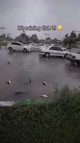 What is happening here?!
