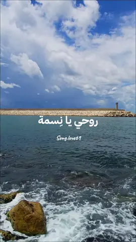 روحي يا نِسمة عند الحبايِب....                 #WelcomeWassouf #song_love69 #اغاني #اغاني_عربيه #اغاني_حب #اغاني_رومانسية #اغاني_طرب #Sing_Oldies #musica #songs #تصميم_فيديوهات🎶🎤🎬 #تصميمي #تصويري #تصويري_احترافي #تصويري📸 @song.love69 @song.love69 @song.love69 