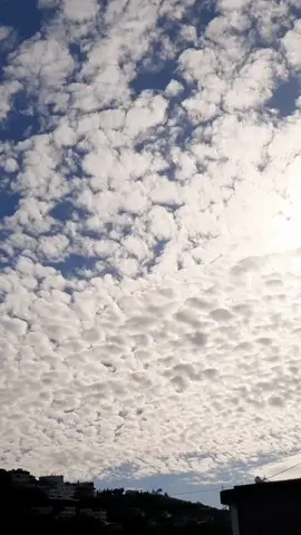 يا طيب القلب وينك حرام تهجر ضنينك مشتاق لك يا حياتي عسى يردك حنينك يا شوق عيني لعينك🎶❤️ @عبدالمجيد عبدالله  . . . #عبدالمجيد_عبدالله #ياطيب_القلب_وينك #عبدالمجيدعبدالله #عبد_المجيد_عبدالله #مجيديات #مجيديات_مجيد_عبدالمجيدعبدالله🎶🎵🎻  #امير_الطرب_عبدالمجيد_عبدالله #اغاني #اغاني_خليجيه #اغاني_سعودية #Sing_Oldies #السعودية #لبنان #الوطن_العربي #تيك_توك #تيك_توك_عرب #متابعه #ليك #page_old_songs 