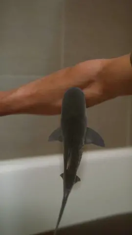 Green Gobbler is my lifesaver in the deep waters of a clogged drain #Ad @greengobblerproducts #greengobbler and #greengobblerproducts 