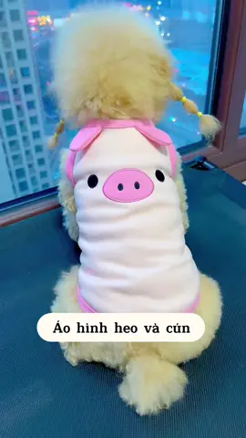 Áo xinh mùa hè thoáng mát cho bé yêu 🐶 #quanaothucung #quanaochomeo #cunyeu #fyp #dog #cute #thucung #poodle #bunquystoc 