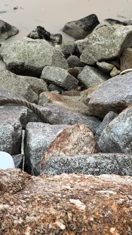 Cubalah luah apa yang dipendam tu🫶🏻 #4u #sunset #sunsetlover #fyp #sadvibes #galaubrutal #storytime #healing #foryoupage #tolongfyp 