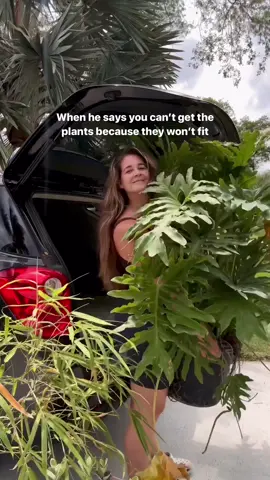 🪴 ✅ #plantsoftiktok #crazyplantlady 