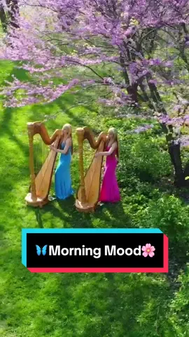 Some 🦋Morning Mood🌸 for your Monday! This song always reminds us of Spring! ☀️ Full video on YooToob! 🎥 #morningmood #spring #classicalmusic #classicalharp #harp #harptwins #classical #grieg #calming #fyp #foryou #harptok #soothing #calm #relaxing