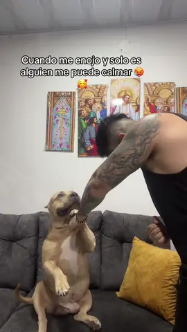 Ese vv alocate, no mentiras calmate vv  👁️ 👄 👁️ 🐶🤣 #vikingo606 #humor 