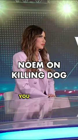 Kristi Noem on Primetime addresses the controversy over killing her dog: I’m honest and I made a choice as a mom for the safety of my children.