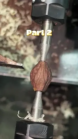 Part 2 - My TERRIBLE husband was LIVING with my best friend in EUROPE… She went CRAZY when I informed them that I was PREGNANT because I had no right to have “HER” man's baby!#reddit #storytime #redditstories #redditreadings #askredditstories #fypage 