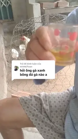 Trả lời @minh67luan ông mình nói có gì không đúng ae bỏ qua nha 