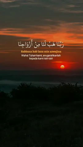 Robbana hablana min azwazina waduriyyatina..... Robbana dholamna anfusana.... Robbanagfir lana wa li'ikhwaninal lazina.... Robbana la tu'akhizna in nasina au akhta'na..... Robbana taqobbal minna innaka antasamiul alim.... #robbanahablanaminazwajina #doaharian #doaharianmuslim 