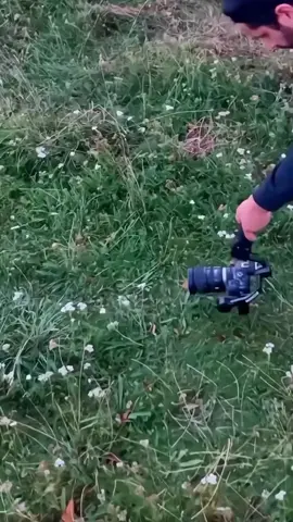 #edu777 #USA #WIZARD 