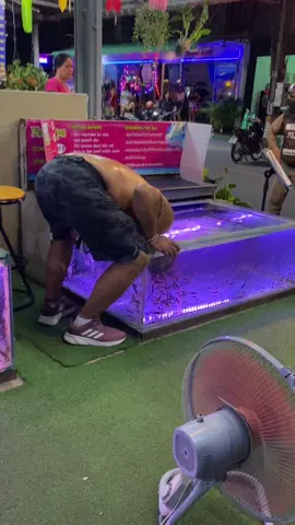 เมื่อชาวต่างชาติมาเที่ยวเชียงใหม่ #เชียงใหม่หวานเจี๊ยบ #เที่ยวเชียงใหม่ #วันวันพันกว่าเรื่อง #คลิปตลก #คลิปเด็ด #tiktok #อากาศร้อน 