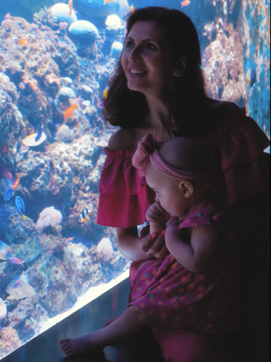 Get ready to embark on an adventure with the family at S.E.A. Aquarium as you dive into a day of insightful discoveries and non-stop fun! 🌊     @s.e.a.aquarium #RWSMoments #SEAAquariumsg