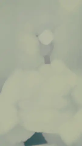 #สปีดสโลว์ #สโลว์สมูท #CapCut 