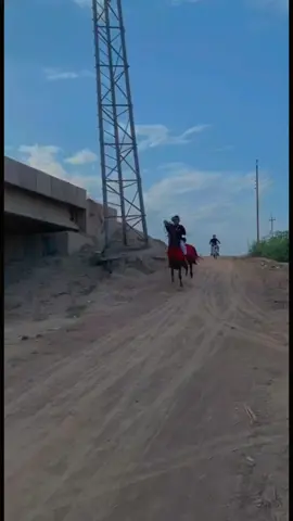 #أبن_طي #الخيالهہ🐎🍃🌸💚 #المدينه #العماره #👑⚔️⚔️⚔️🦅🔥🔥 